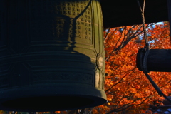 妙心寺鐘楼の紅葉