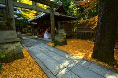 白雲神社の紅葉１