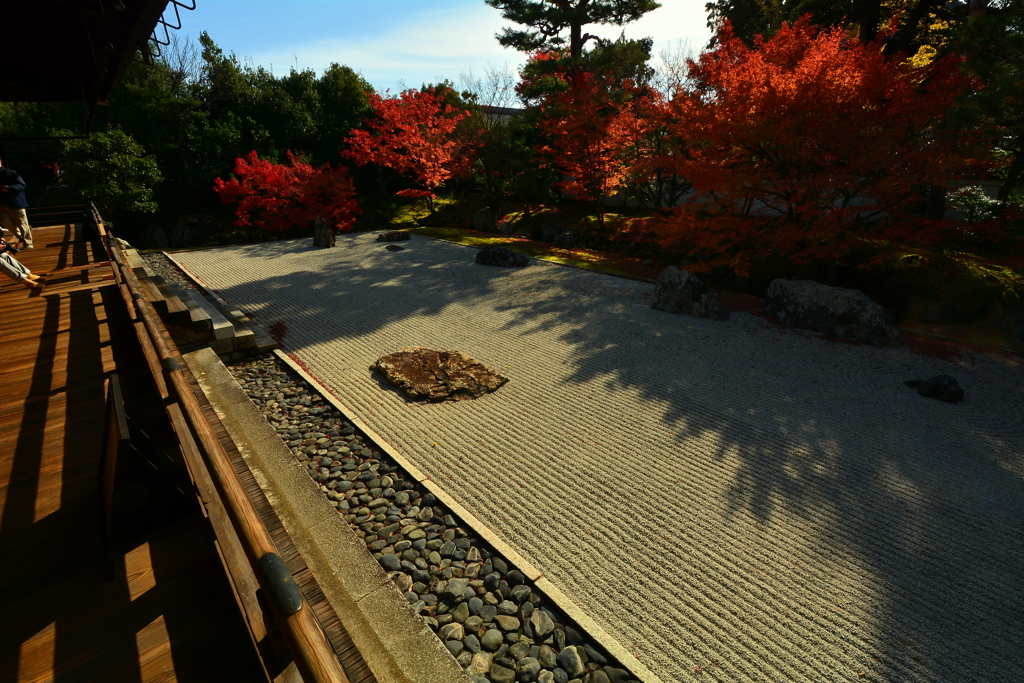 相国寺開山堂の紅葉１