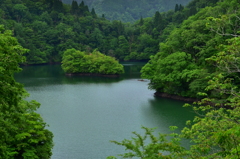 深山の池