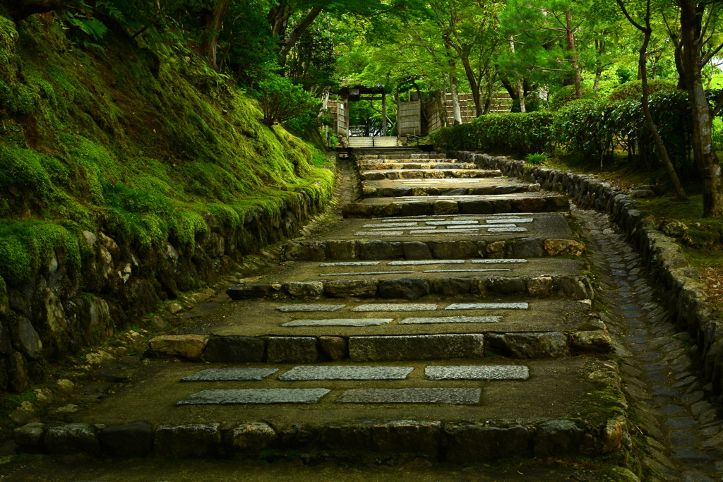 化野念仏寺参道２