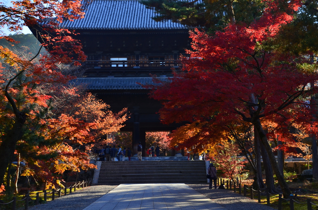 南禅寺・三門　錦秋