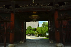 清涼寺山門から本堂を望む