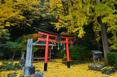 岩戸落葉神社の朝１