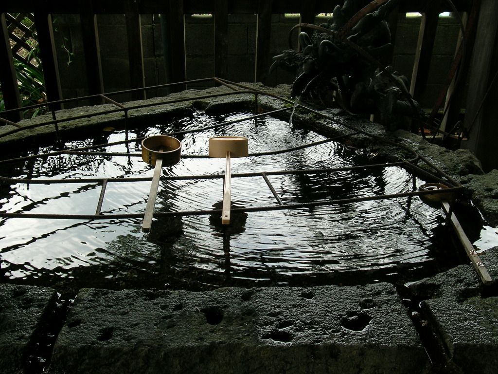 手水・暗い水