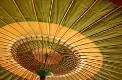 竹色の日傘