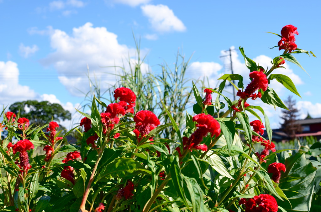 太陽にのびろ!!!