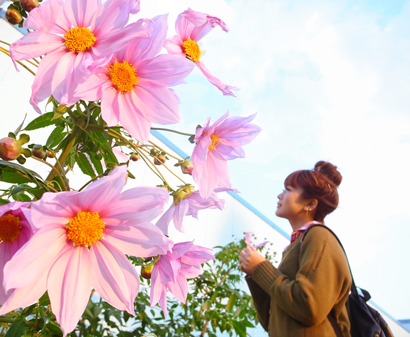 話-hanashi-