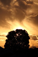 燃る空