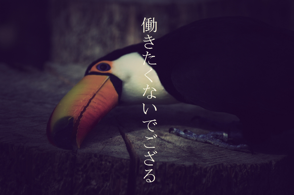 オオハシさん