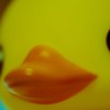 あひるたいきゃく１