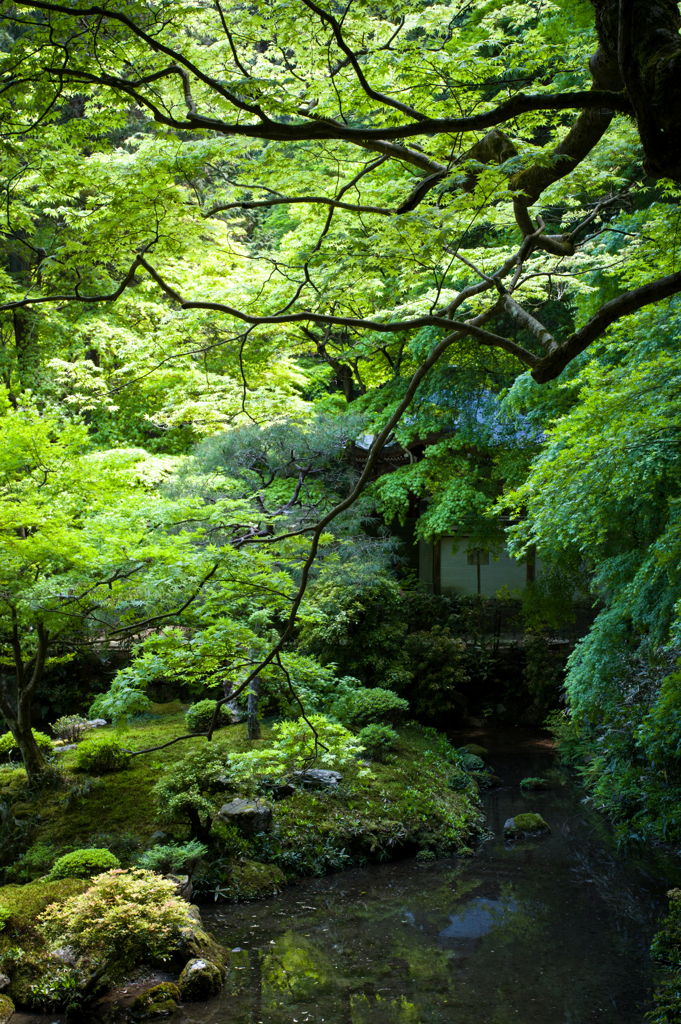 南禅寺南禅院#2