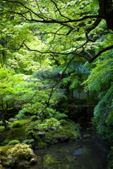 南禅寺南禅院#2