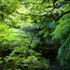 南禅寺南禅院#2