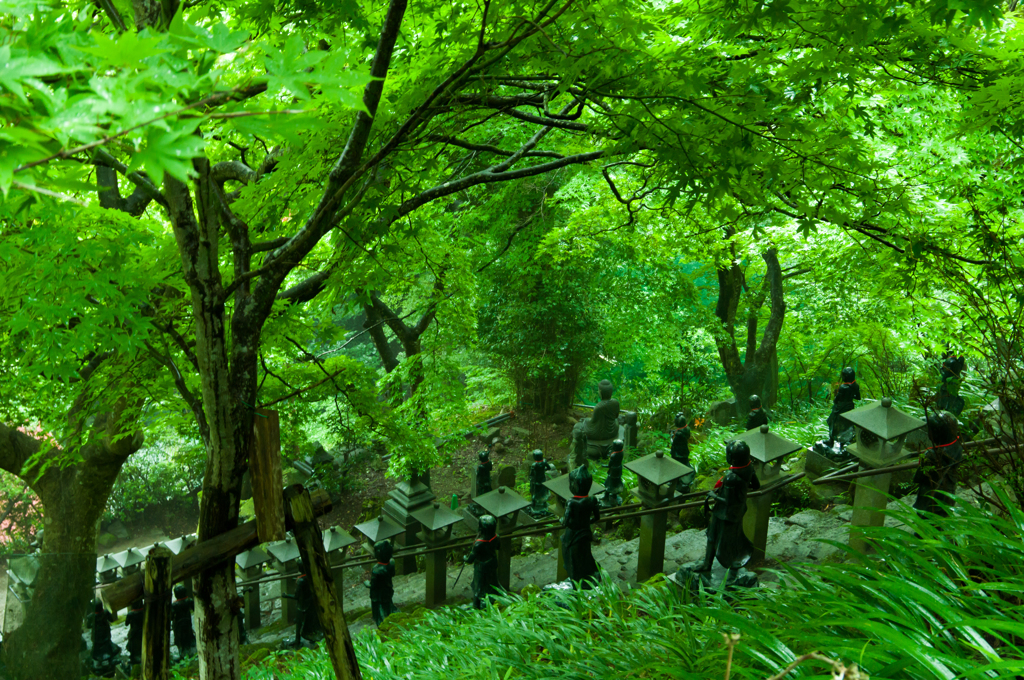緑の階段　下り