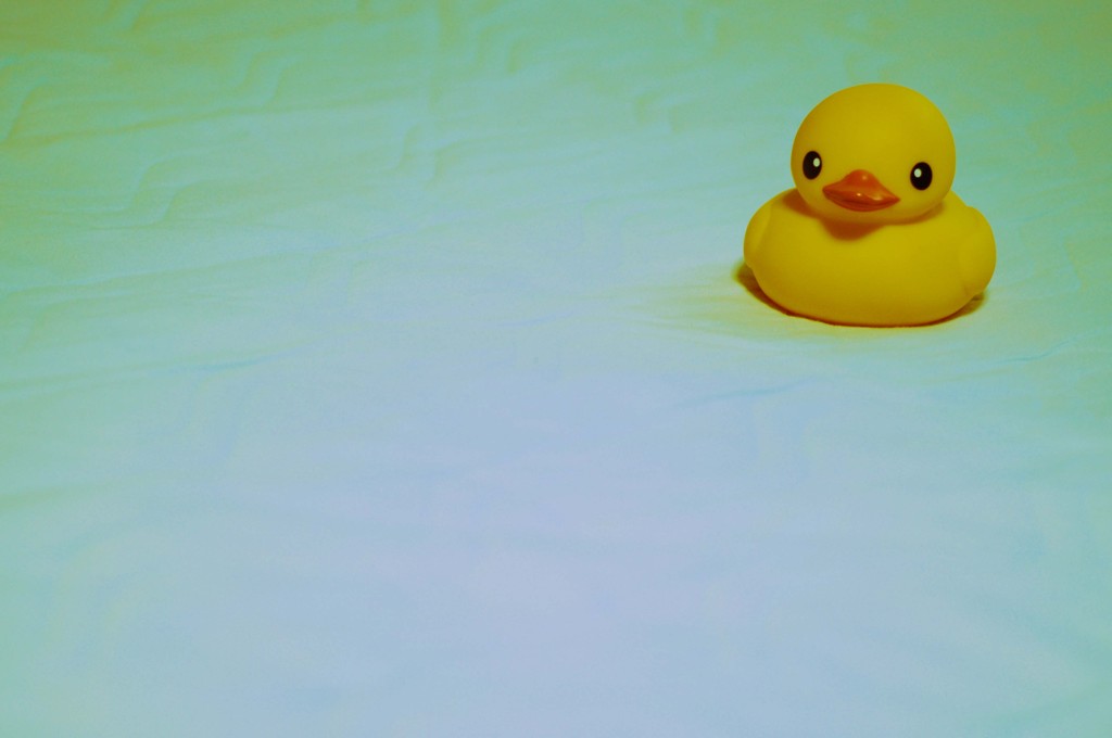 あひるせっきん１