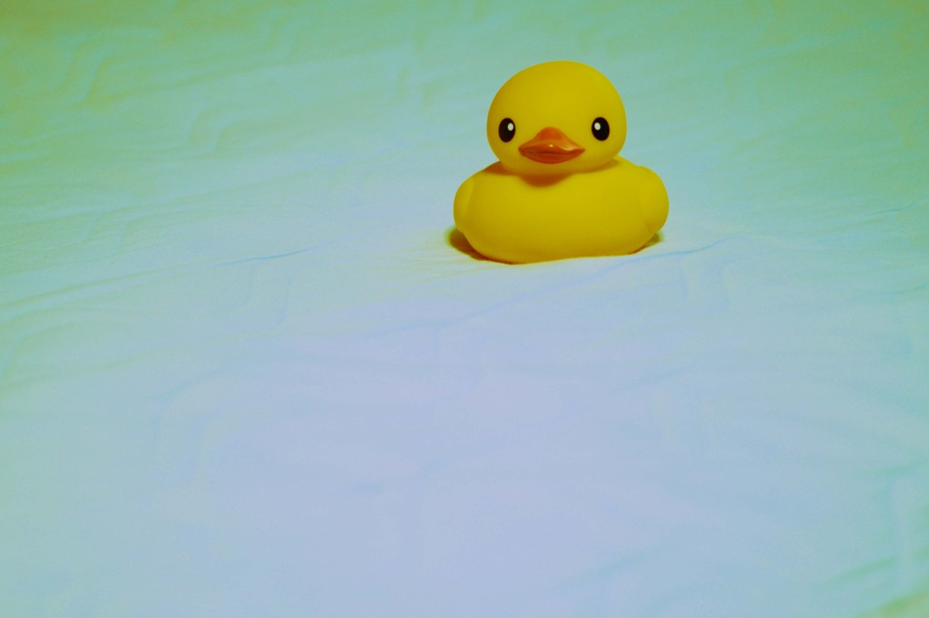 あひるせっきん２
