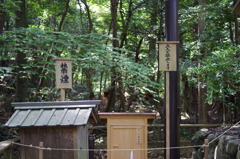 ホースの神様