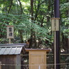 ホースの神様