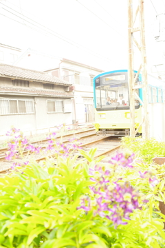 阪堺線の風景
