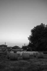 ロールベールのある光景