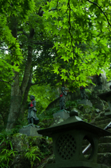 緑の階段　上り