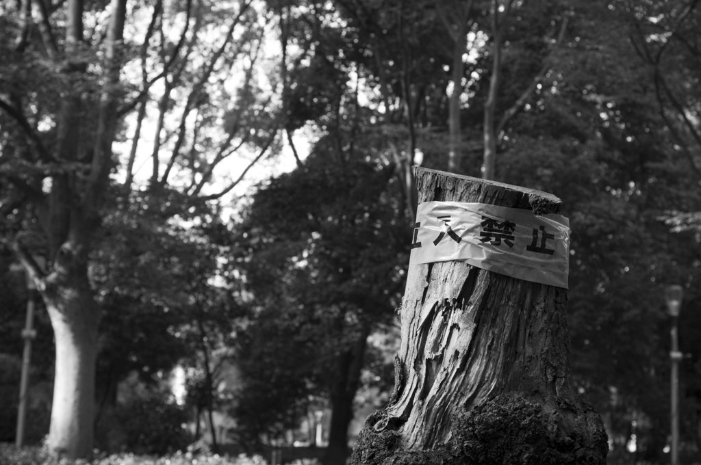 現場