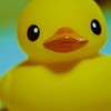 あひるそうぐう１