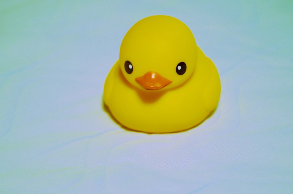 あひるせっきん３