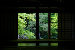 南禅寺南禅院#1