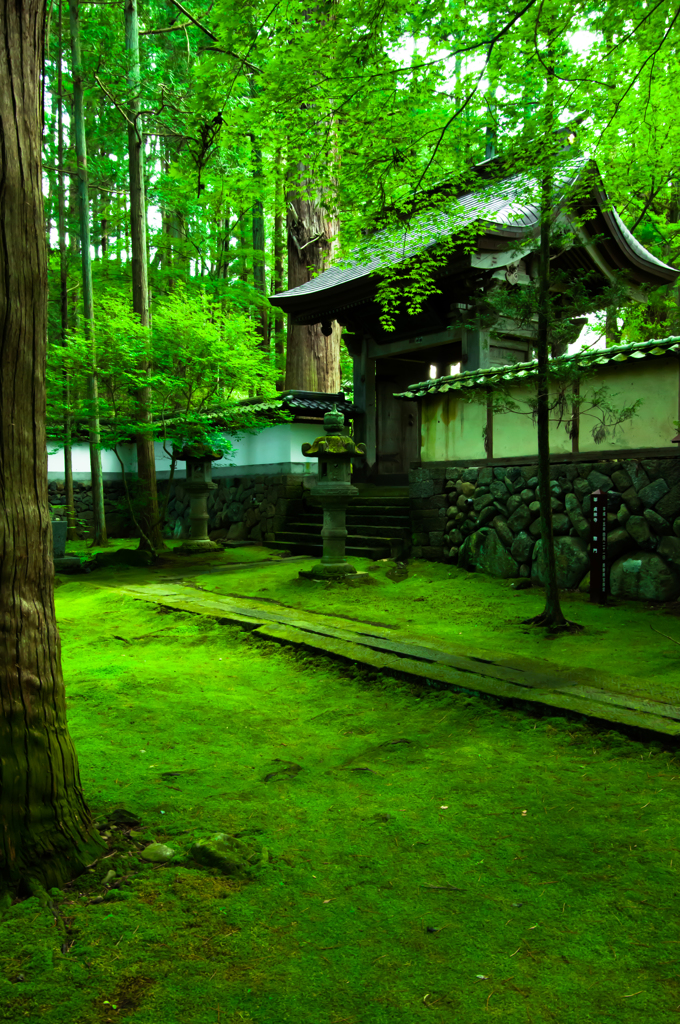 緑の門