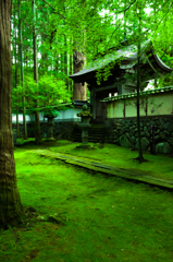 緑の門