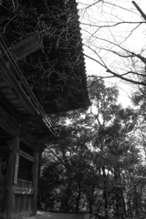 門