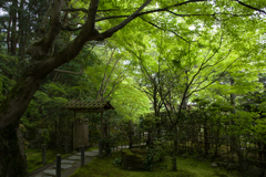 南禅寺天授庵#1
