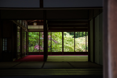 南禅寺天授庵#2