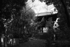 門