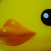 あひるたいきゃく２
