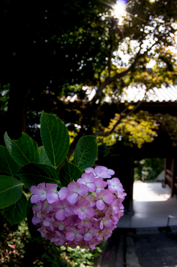 長慶寺２
