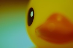 あひるついげき２