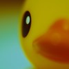 あひるついげき２