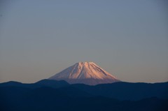 テストフジ