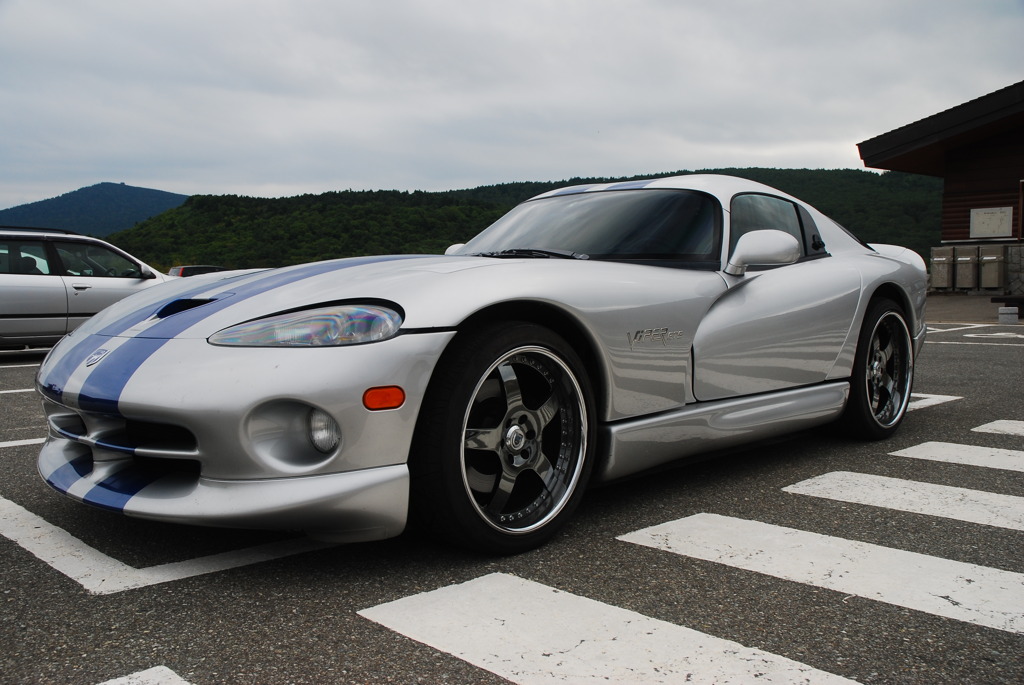 VIPER