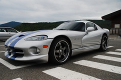 VIPER