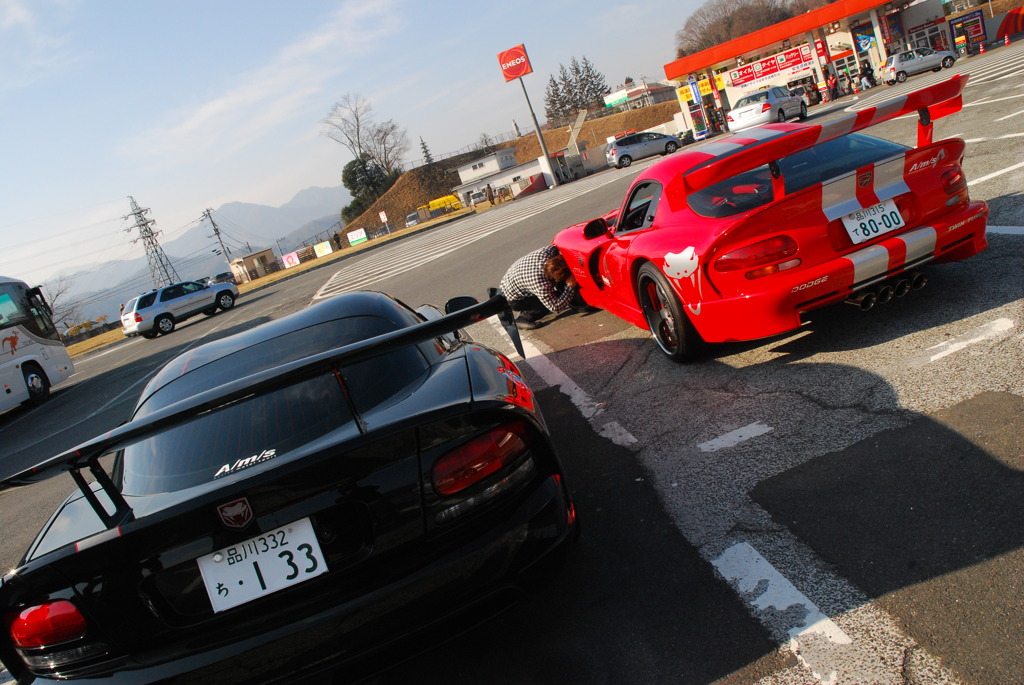 TWIN VIPER