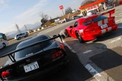 TWIN VIPER