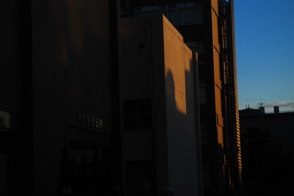 DSC_1810