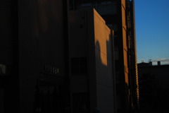 DSC_1810