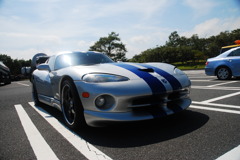 VIPER