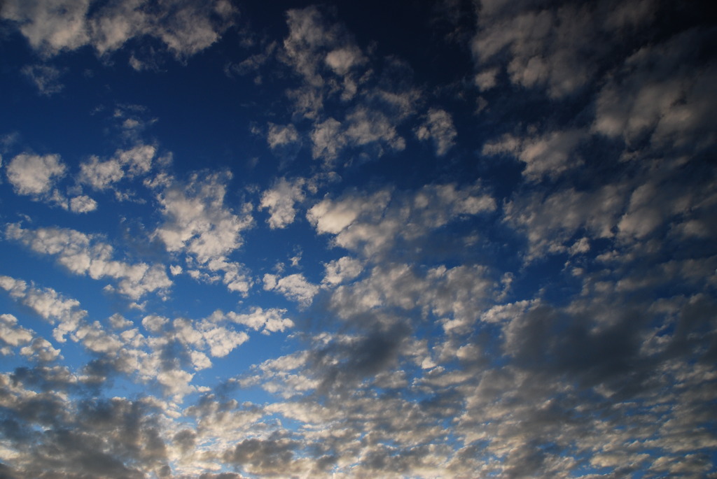 Autumn Sky