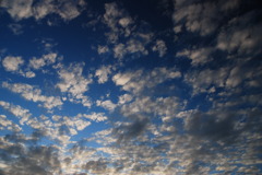 Autumn Sky
